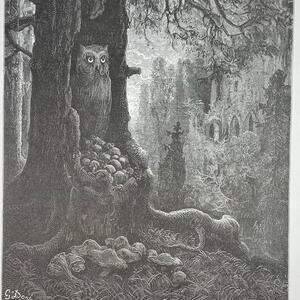 Dore, Fables, Mice and Owl, Old Man, Print, Bookplate, Art, ~ 240706-WH 290
